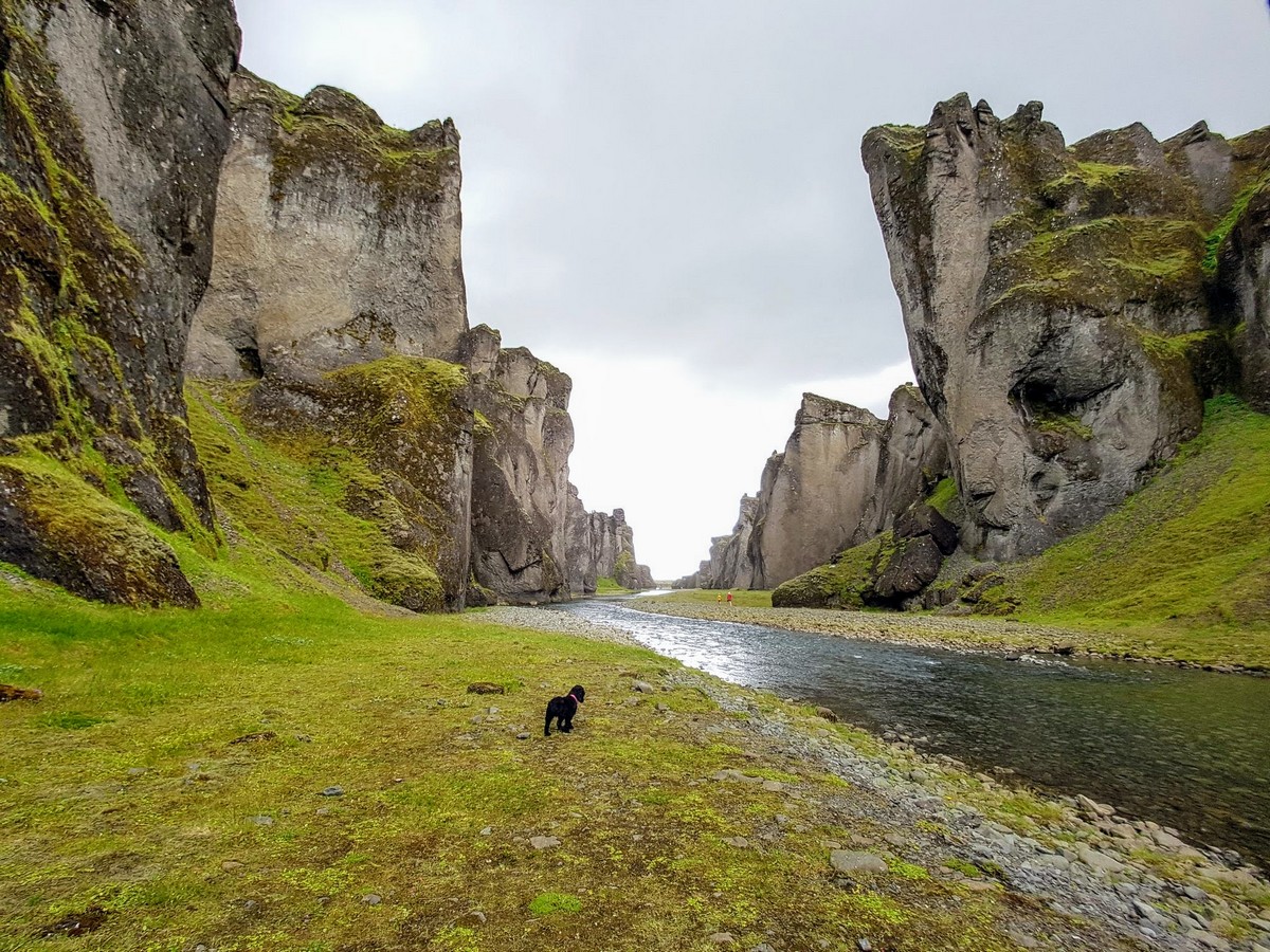 Skaftafell & Glacier Lagoon