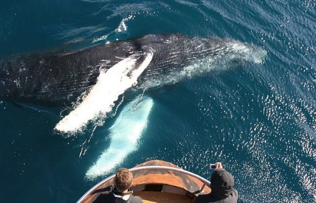 Akureyri & North Iceland